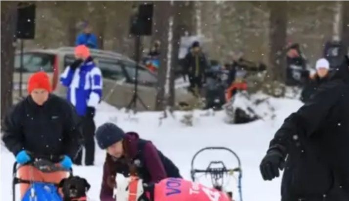Vindelälvsdraget
Kygo and Gold
Nicole Vogel exchange, and Rune Haugmo handling my dogs